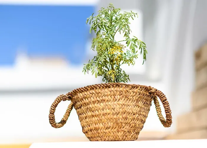 Open Air Historic Penthouse Vegueta لاس بالماس دي غران كاناريا