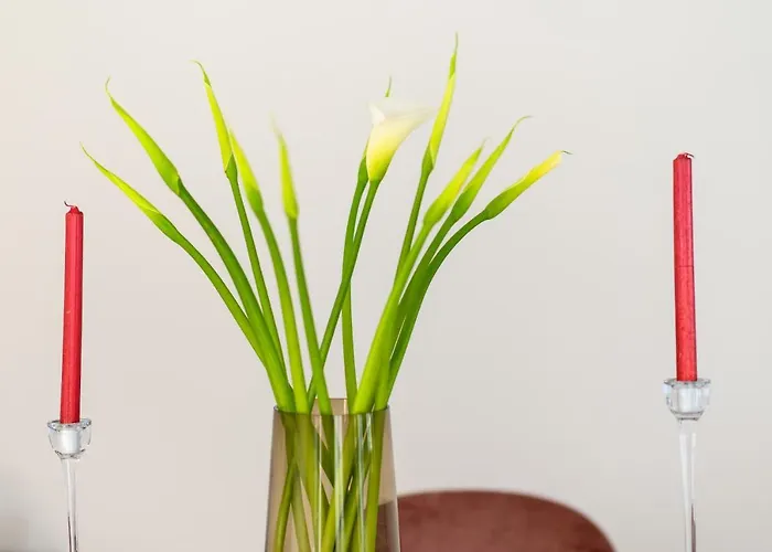 شقة Open Air Historic Penthouse Vegueta *