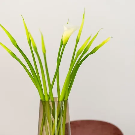 Apartment Open Air Historic Penthouse Vegueta *