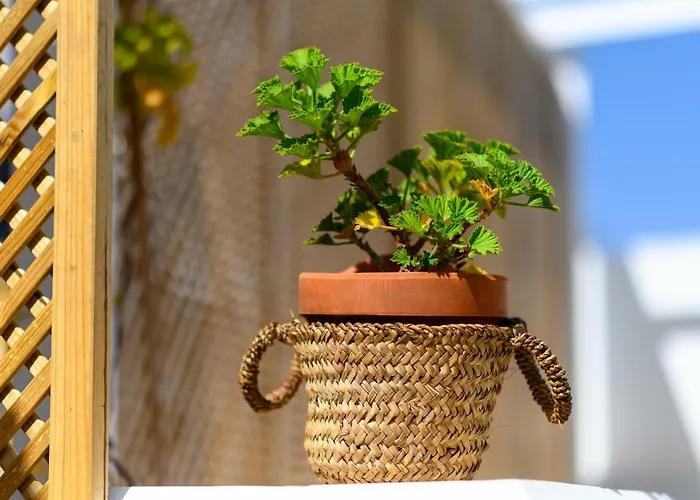 Open Air Historic Penthouse Vegueta 아파트