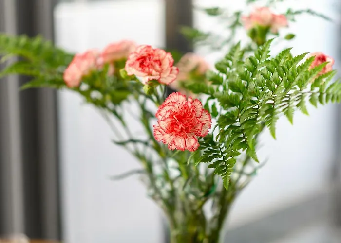 Open Air Historic Penthouse Vegueta 아파트 라스팔마스